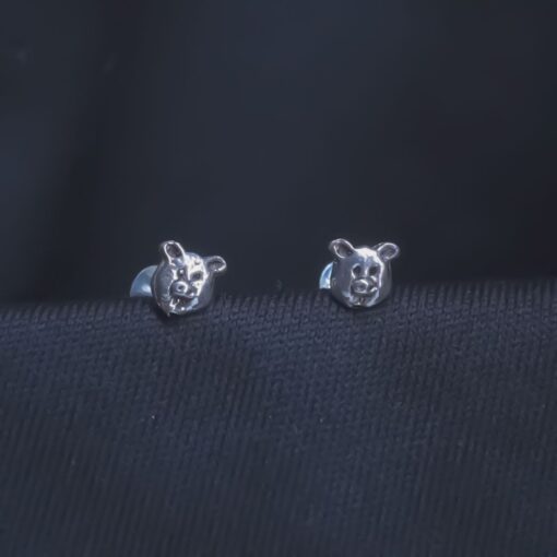 Sterling Silver Earrings ER233