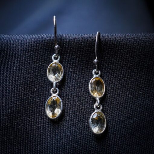 Sterling Silver Earrings ER280