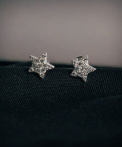 Sterling Silver Earrings ER320