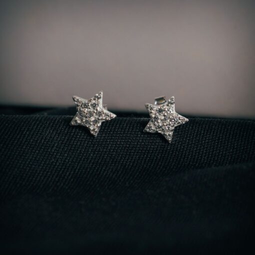 Sterling Silver Earrings ER320