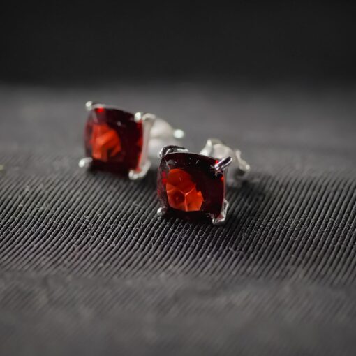 Sterling Silver Earrings ER328