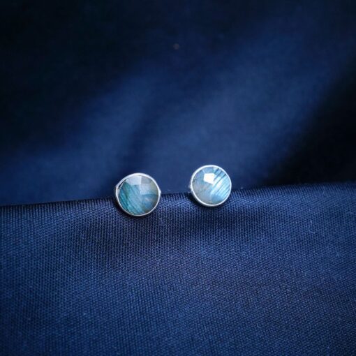 Sterling Silver Earrings ER85