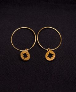 Sterling Silver Earrings ER245