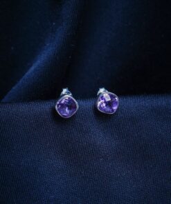 Sterling Silver Earrings ER29