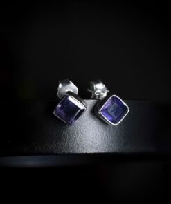 Sterling Silver Earrings ER384