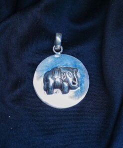 Sterling Silver Pendants PE70